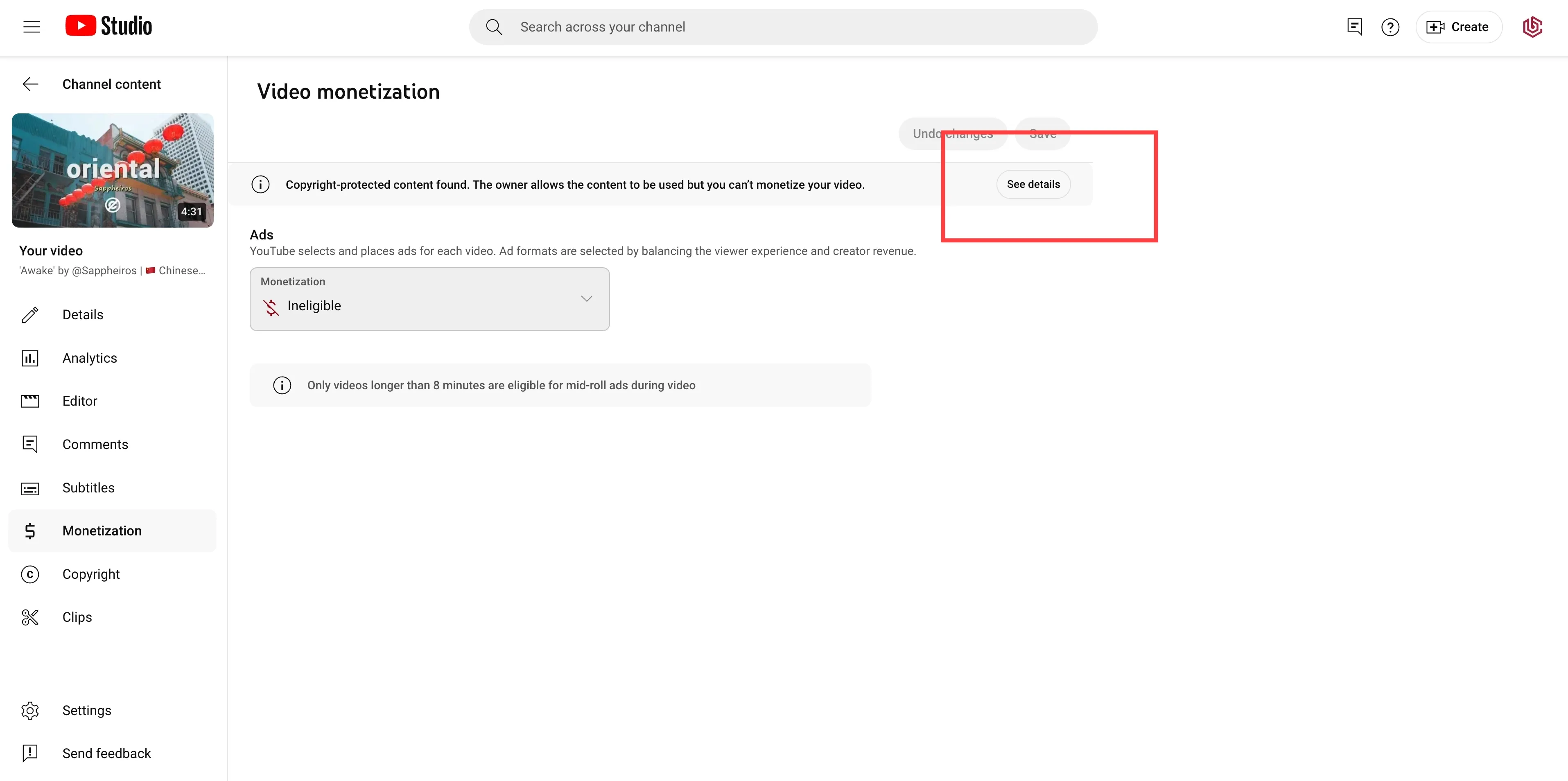 Monetization section